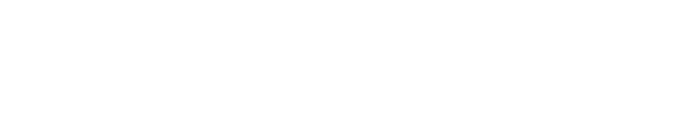 carmaxwhite